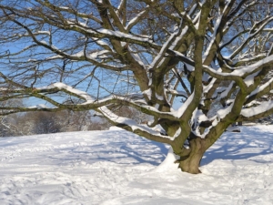 Lässt sich ein Feldbett im Winter einsetzen? Erfahren Sie mehr!